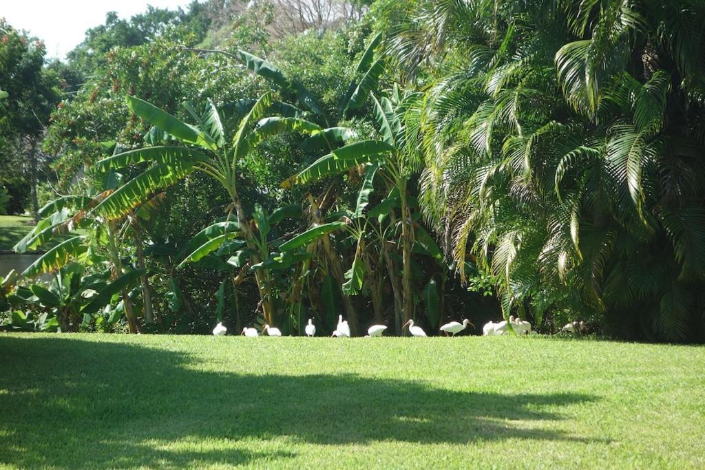 North Naples Pool Home With A New Sparkling Pool, Close To Beach, Lovely Lake View מראה חיצוני תמונה